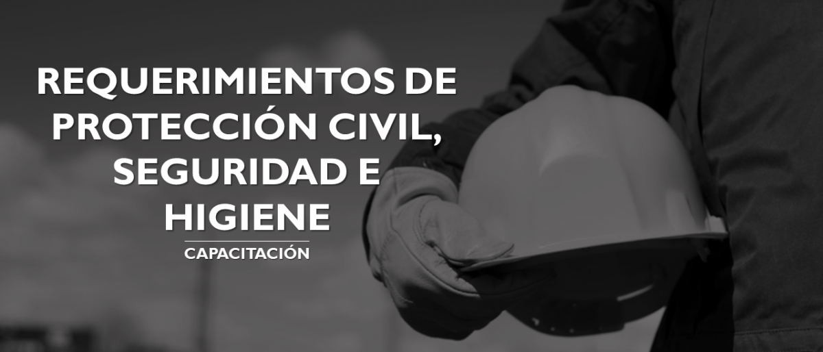 Makler Consultores y Capacitadores